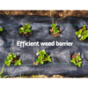 Heavy Duty Weed Mat Weedmat Plant Control Mat 30m/50m/100m/200m