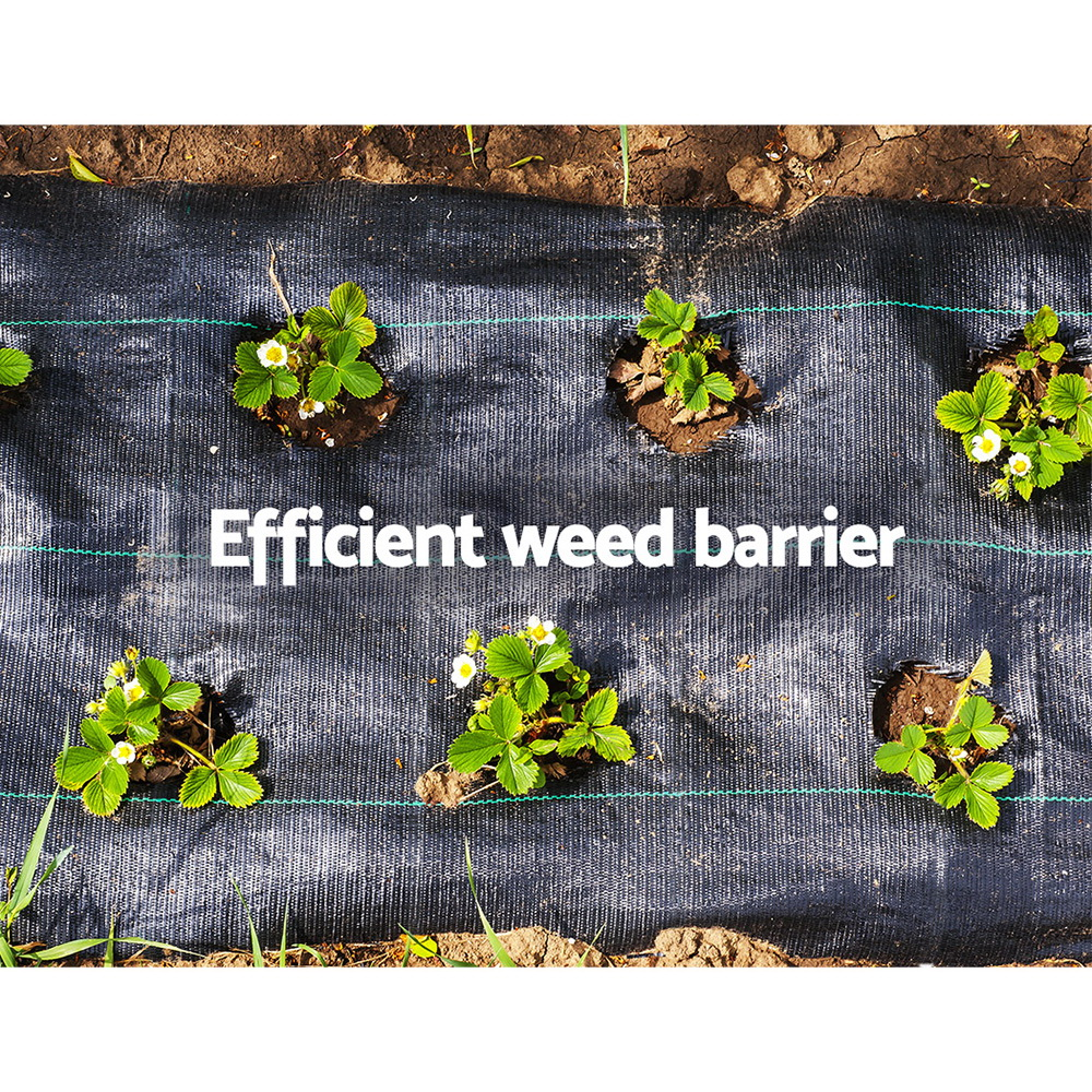 Heavy Duty Weed Mat Weedmat Plant Control Mat 30m/50m/100m/200m